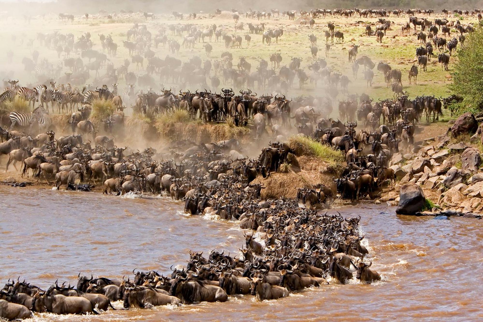 Mara Intrepids Tented Camp Talek Kültér fotó
